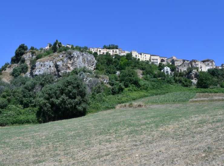 Buccino agricoltura 