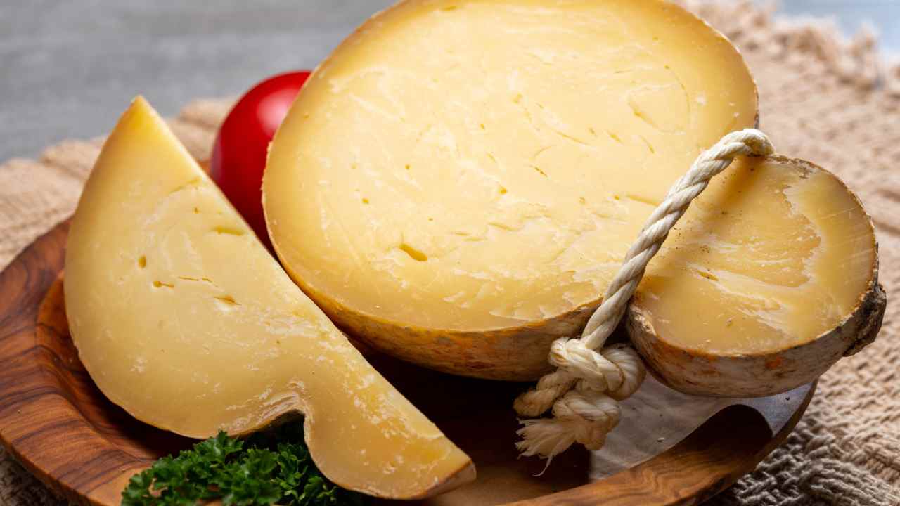 Caciocavallo podolico