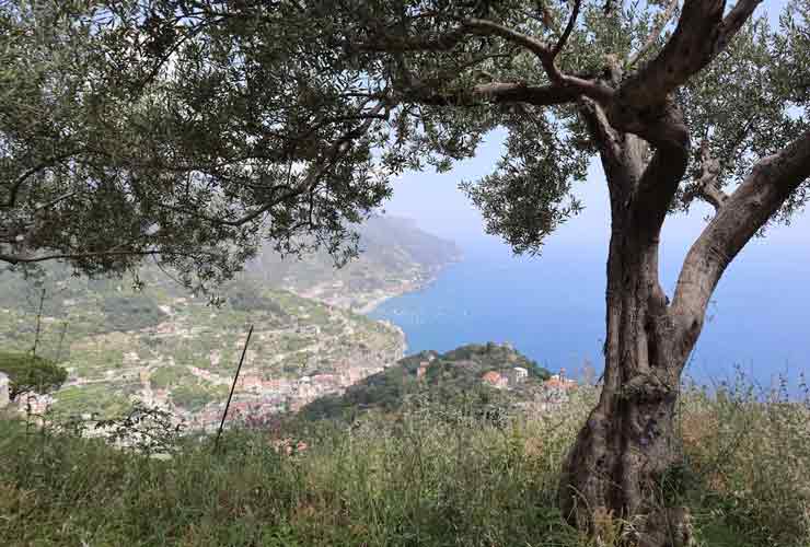 Amalfi