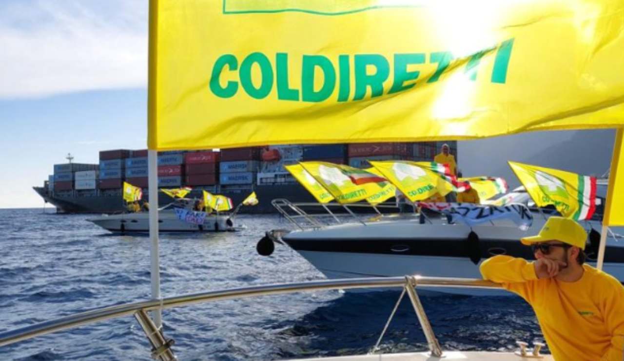 Coldiretti Campania (Fonte franzbell Instagram) - salernosera.it