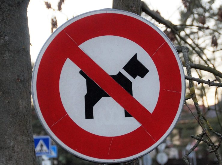 Divieto d'accesso animali (LaPresse) - salernosera.it