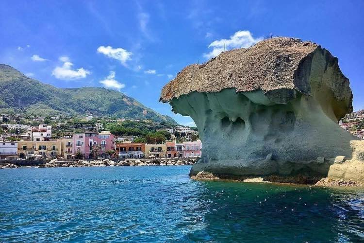 Fungo di Lacco Ameno - fonte_Facebook - salernosera.it