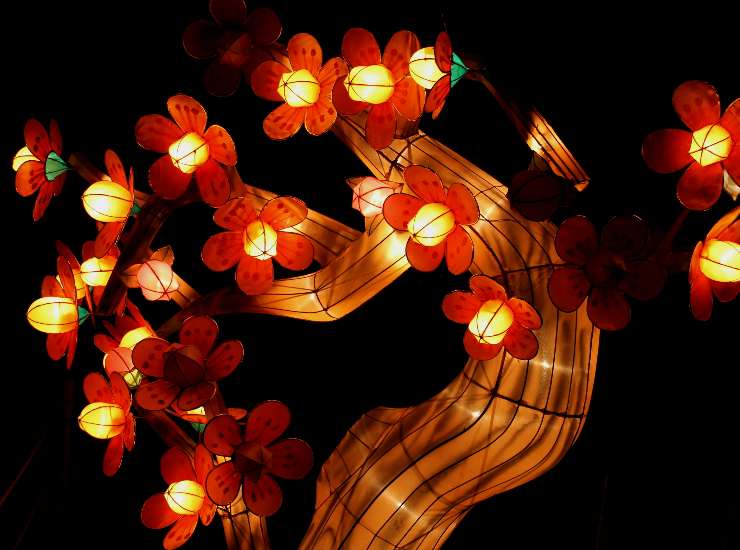 Luminaria