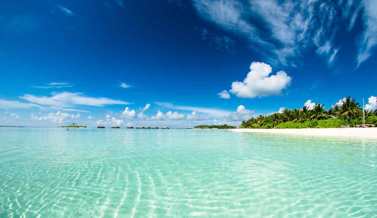 Maldive