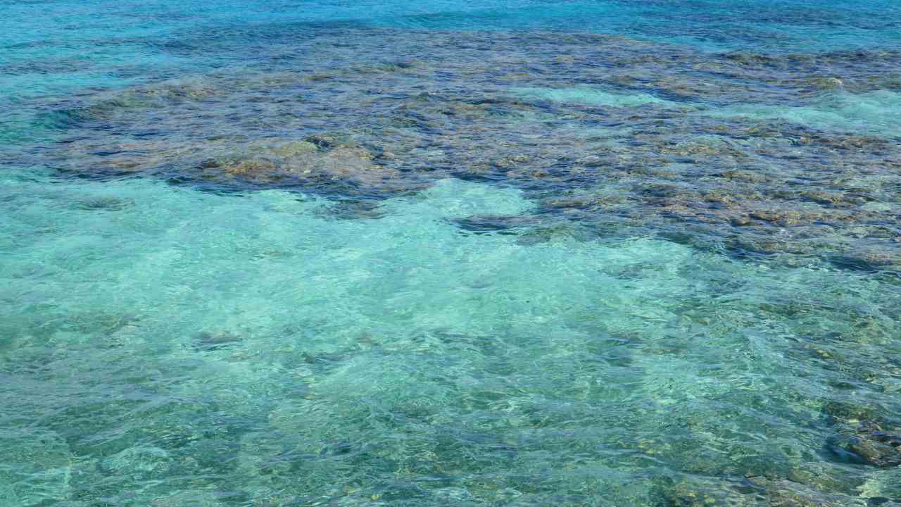 Mare pulito (Pixabay) - salernosera.it