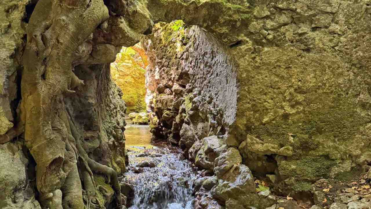 Matera in Campania - fonteFacebook - salernosera.it