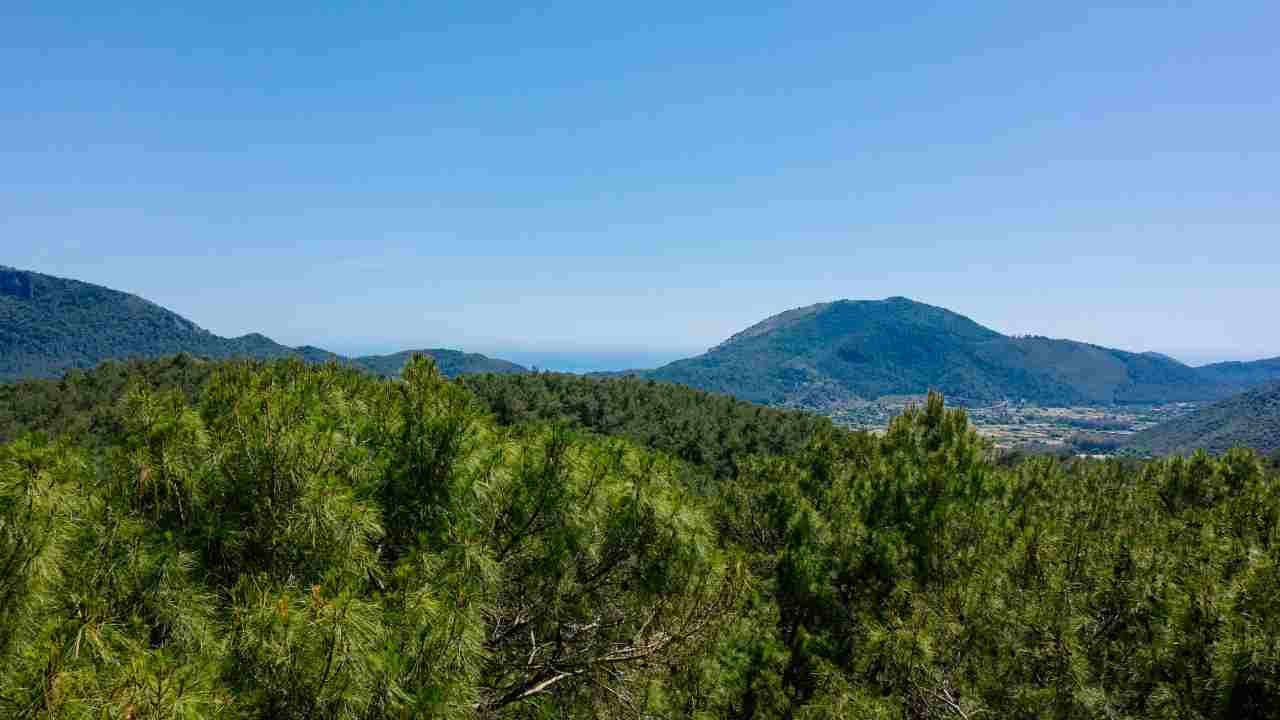 Monte Massico