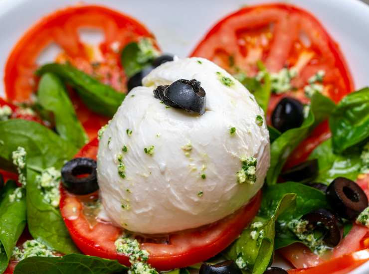 Mozzarella di Bufala 