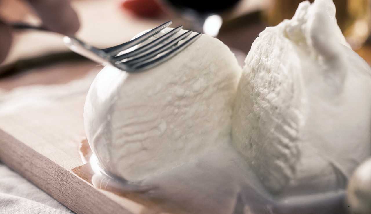 Mozzarella di bufala - fonte_Canva - salernosera.it