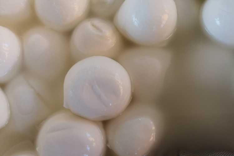 Mozzarella di bufala - fonte_canva - salernosera.it