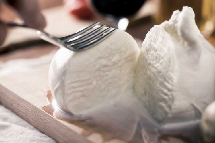 Mozzarella - fonte_Canva - salernosera.it