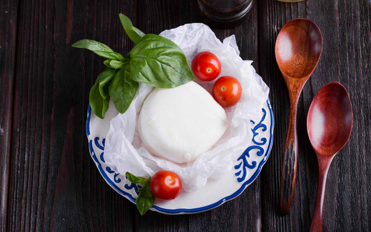 Una mozzarella di bufala su un piatto vicino a pomodorini e basilico