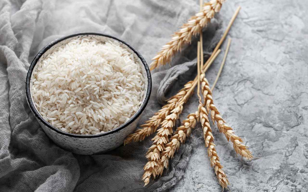 Una ciotola di riso crudo accanto a delle spighe di grano