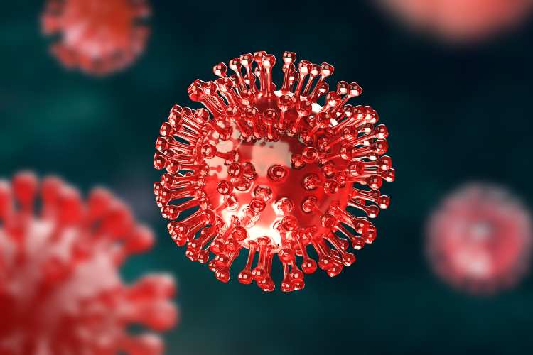 Virus - fonte_canva - salernosera.it