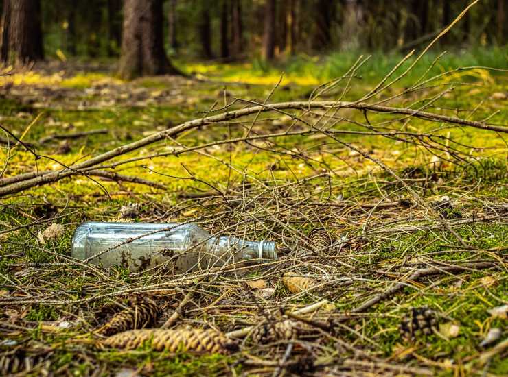 Bottiglia gettata nella foresta (Pixabay) - salernosera.it