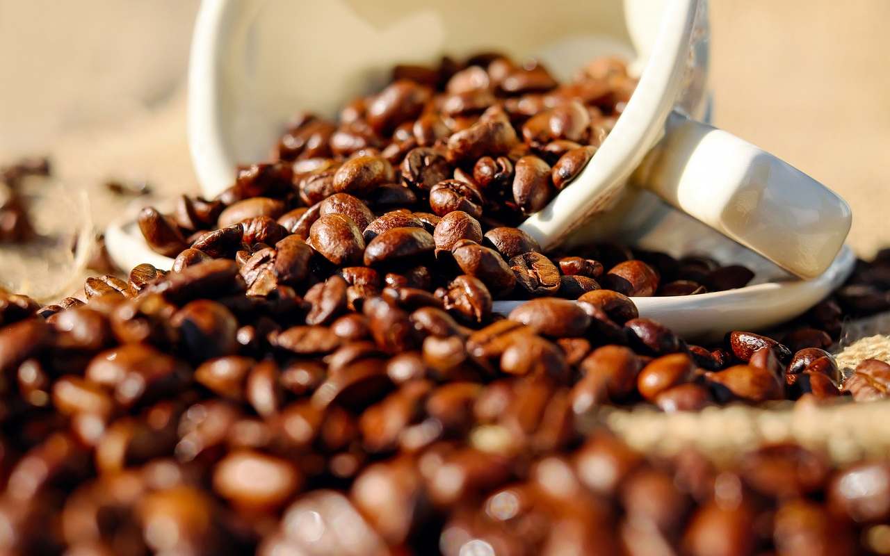 Una tazzina da caffè sopra chicchi interi