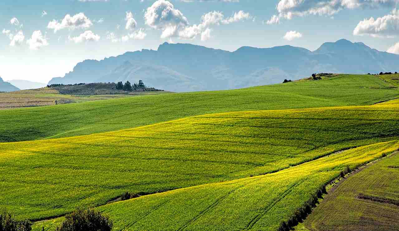 Campi (Pixabay) - salernosera.it