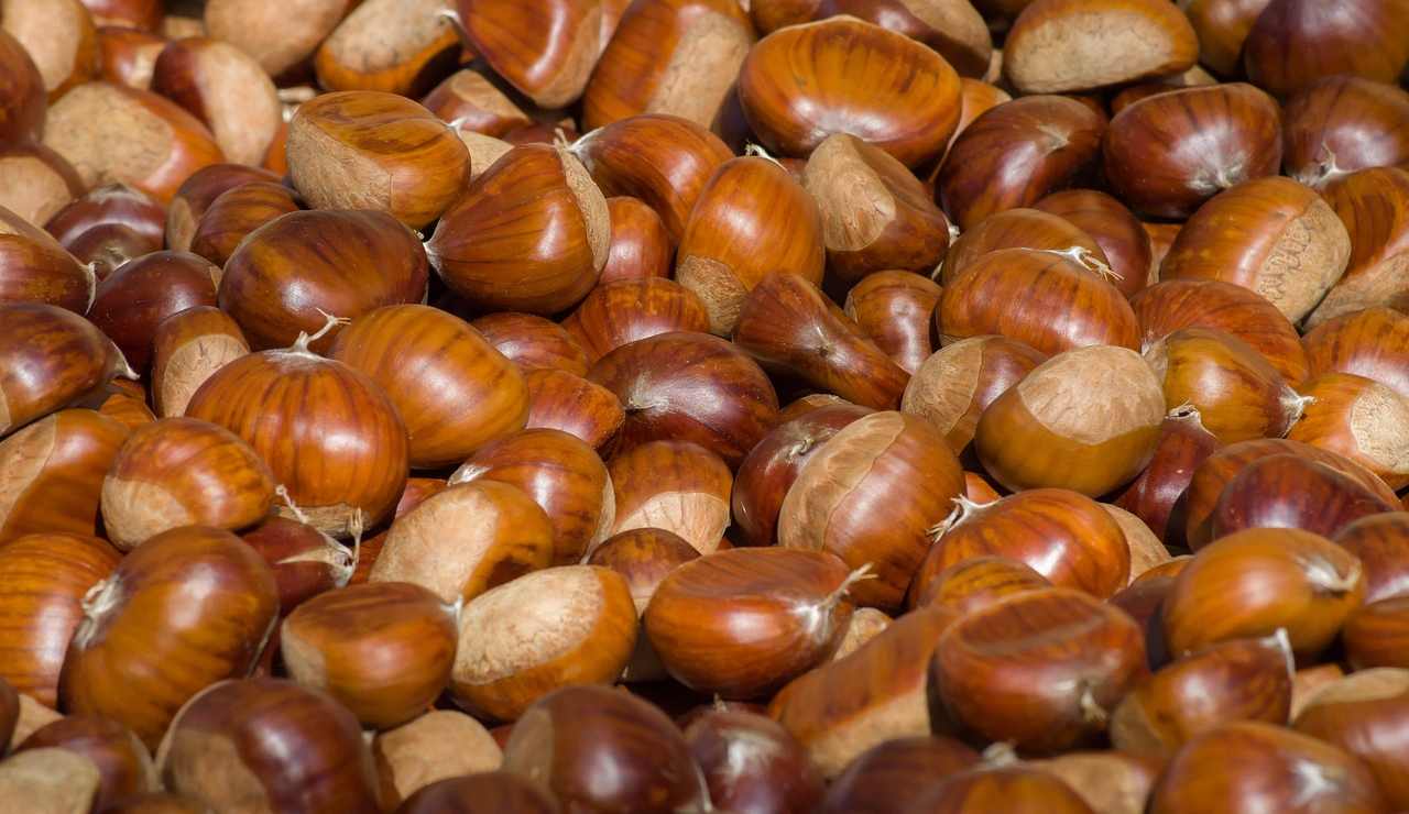 Castagne (Pixabay) - salernosera.it (1)