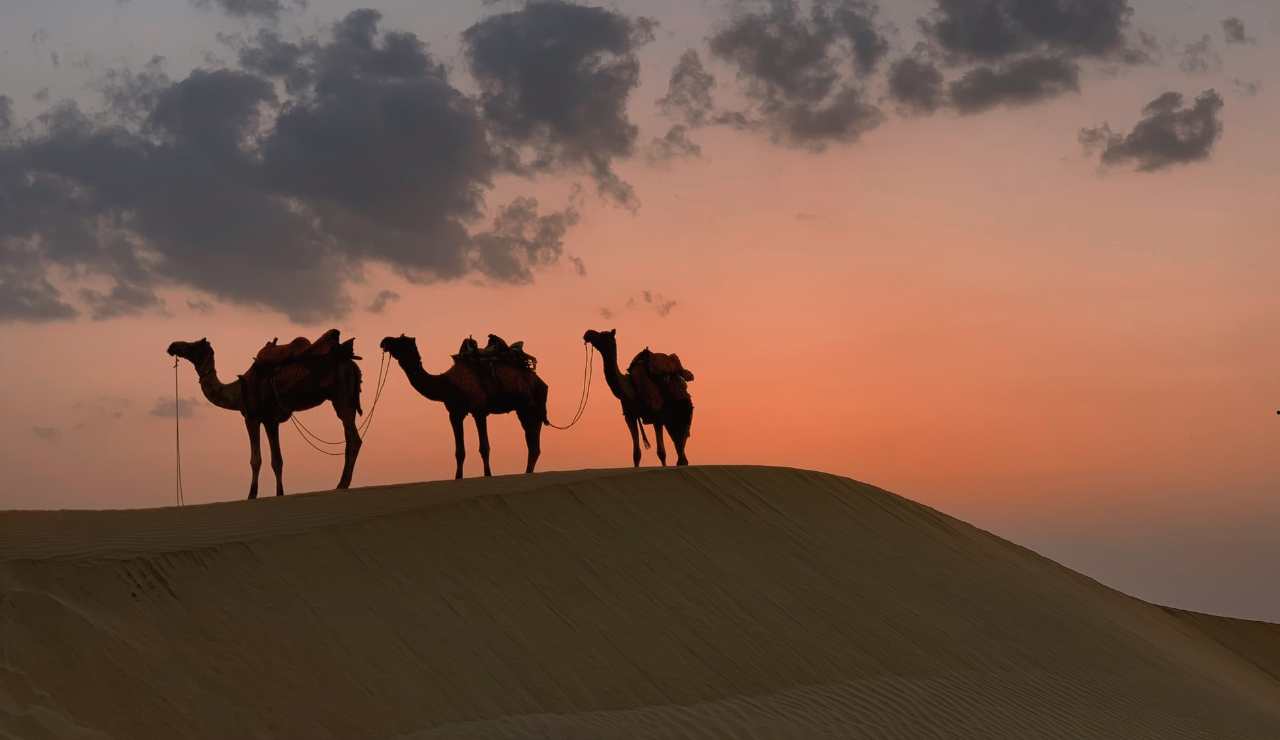 Deserto del Sahara - fonte_Canva - salernosera.it