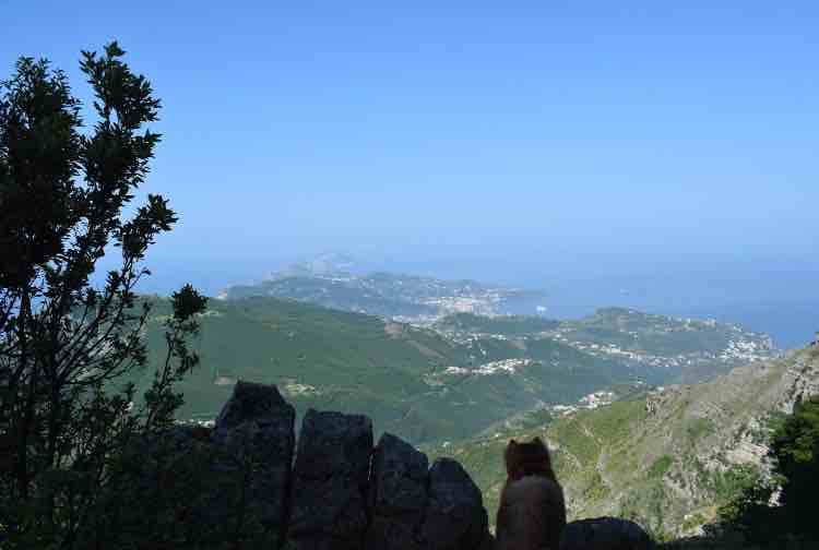 Monte Faito - fonte_Facebook - salernosera.it
