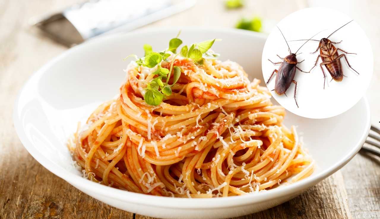 Pasta con insetti - fonte-Canva - salernosera.it