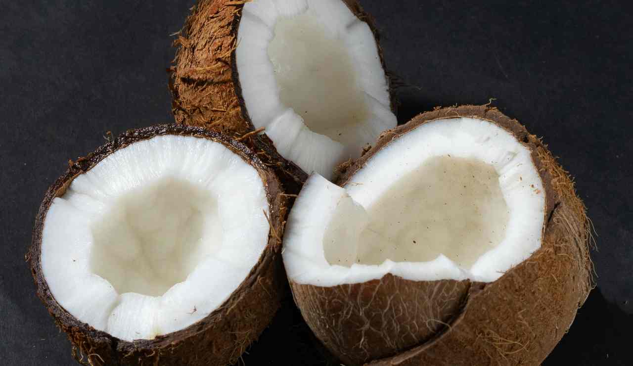 Cocco