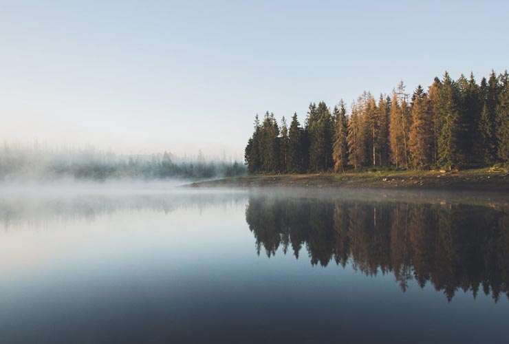 Foto di Sebastian Beck: https://www.pexels.com/it-it/foto/alberi-vicino-al-corpo-d-acqua-2382941/
