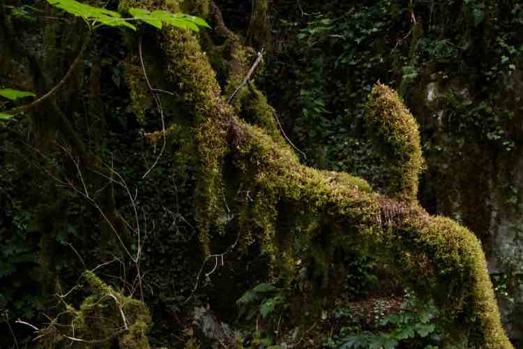 Parco Nazionale del Cilento - fonte_Facebook - salernosera.it
