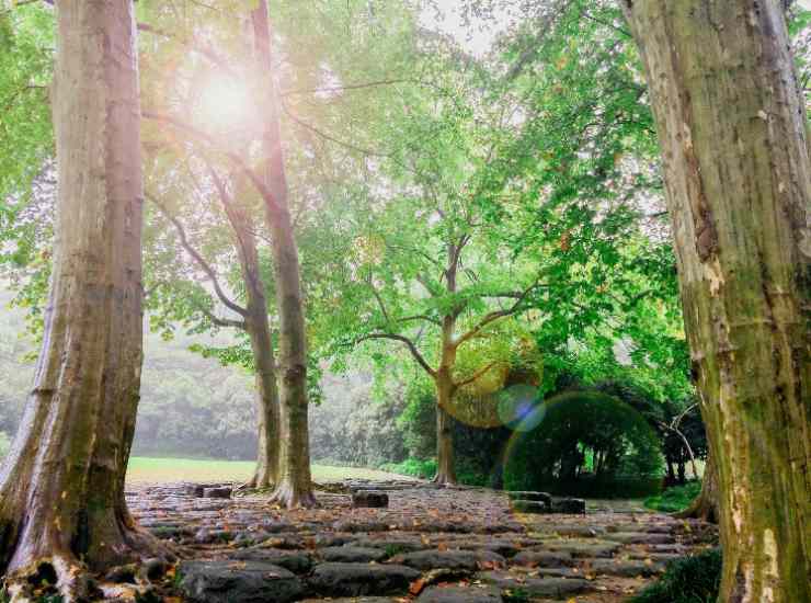 Parco naturale 