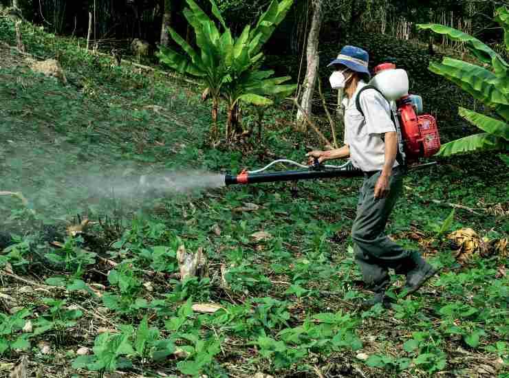 Pesticidi 