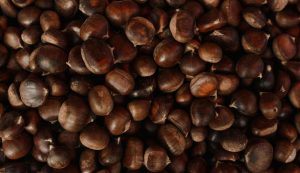 Sagra castagne (Pexels) - salernosera.it