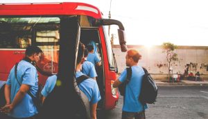Autobus (Pixabay) - salernosera.it (6)