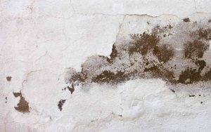Umidità nei muri di casa
