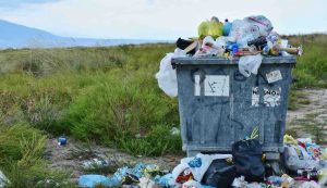 Tari - fonte_canva - salernosera.it