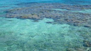Mare pulito (Pixabay) - salernosera.it
