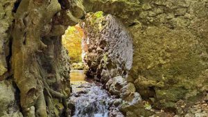 Matera in Campania - fonteFacebook - salernosera.it