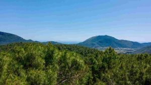 Monte Massico