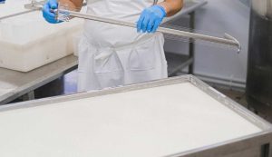 Caseifici mozzarella di bufala