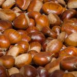 Castagne (Pixabay) - salernosera.it (1)
