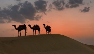 Deserto del Sahara - fonte_Canva - salernosera.it
