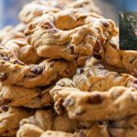 Il paese dei taralli - fonte_Canva+Tripadvisor - salernosera.it