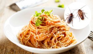 Pasta con insetti - fonte-Canva - salernosera.it