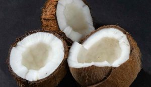 Cocco