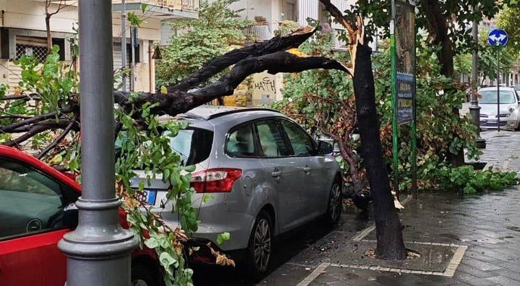 Violente piogge e grandinate a Salerno, albero cade su un’auto a Pastena