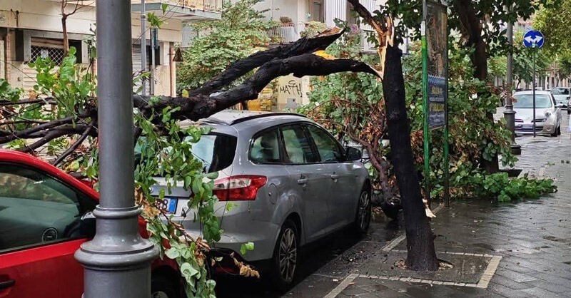 Violente piogge e grandinate a Salerno, albero cade su un’auto a Pastena