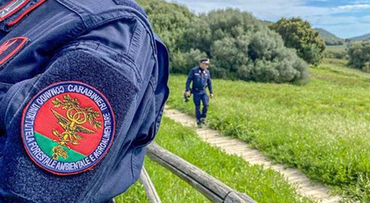 Uomo di Eboli denunciato per prelievo illegale acqua e smaltimento rifiuti in Riserva naturale
