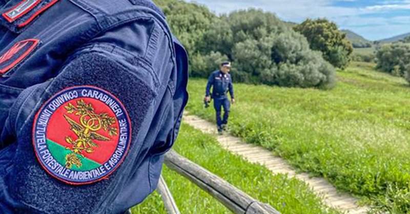 Uomo di Eboli denunciato per prelievo illegale acqua e smaltimento rifiuti in Riserva naturale