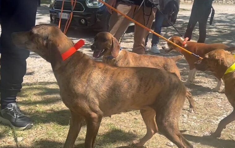 Roscigno ospita il Festival Cilento Selvaggio: tre giorni di cultura, natura e tradizioni