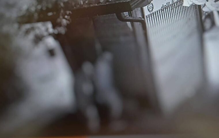 Tentato furto alla Casa dell’Acqua a Mercato San Severino: due persone riprese dalla fototrappola