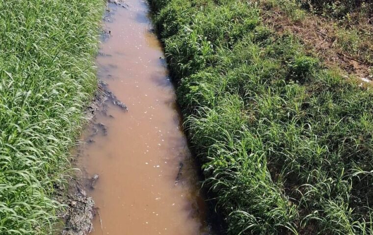 Acqua marrone e schiuma in un canale del Sarno: nuova segnalazione ambientale